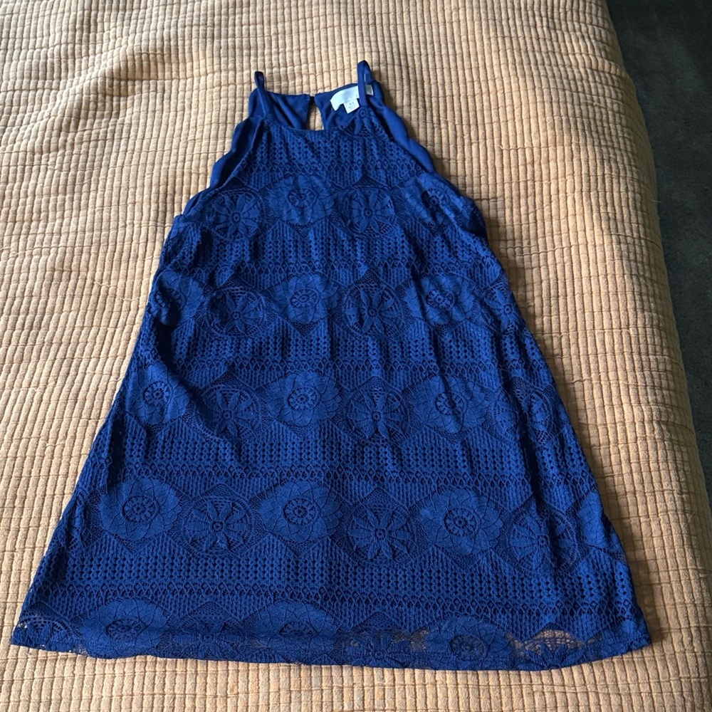 Francesca's Collections Blue Lace Dress